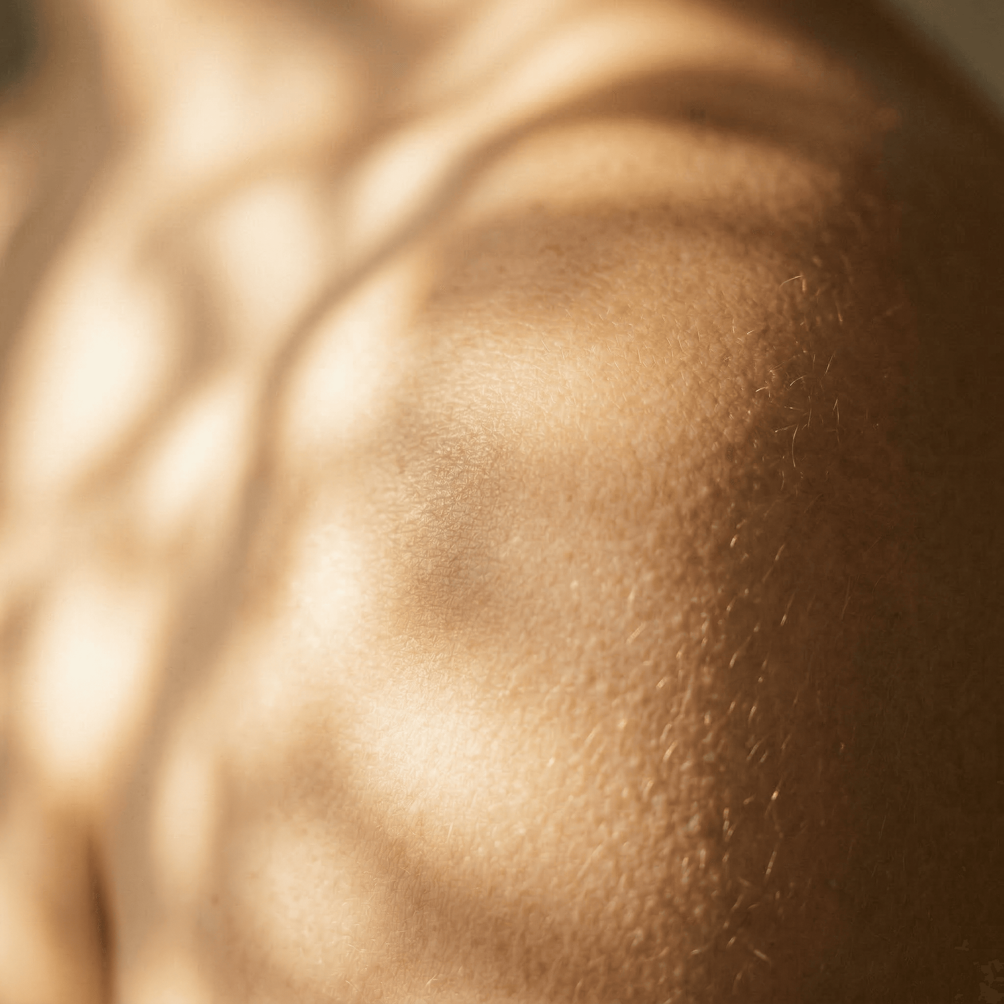 The science behind the feeling